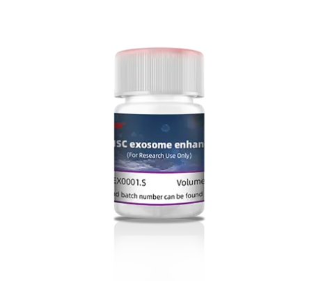 Stem Cell Exosome Enhancer Stem Cell Exosome Enhancer