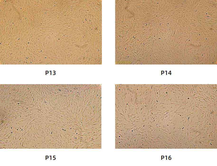 6f6a54c7adcbf4471f759909ccdf0d56