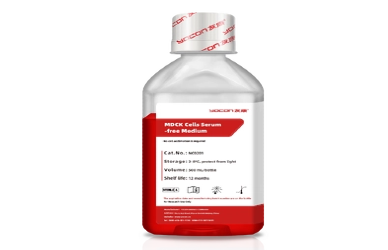 Tips for Efficient CAR-T Cell Culture And Maintenance