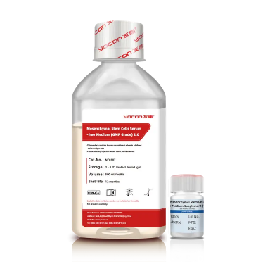 A Beginner's Guide To Understanding Exosomes