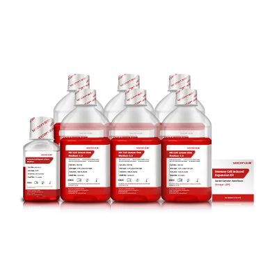 What Is Strepto Penicillin and Its Role in Modern Medicine