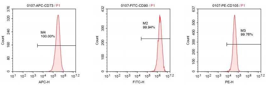 fecb77ebbd547819f85b58de8ab50bcf