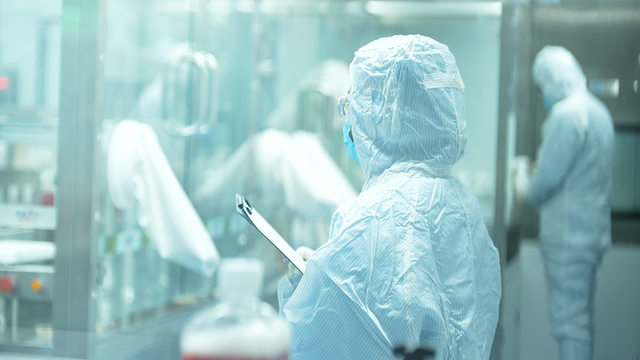 mesenchymal stem cells used for tissue regeneration