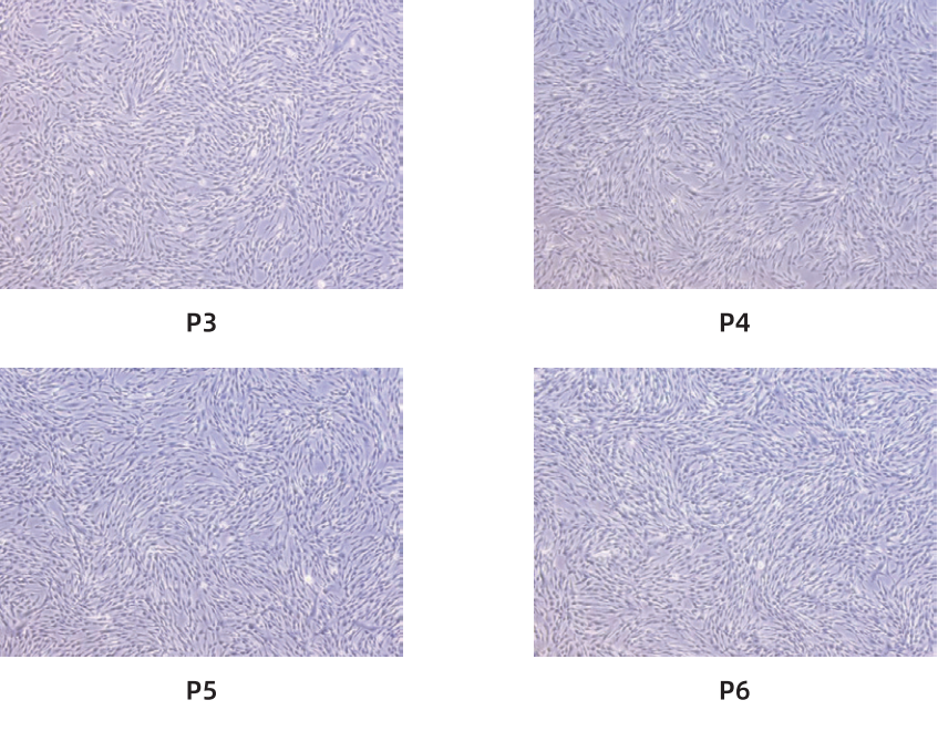 be09657a20e00097441653b39b9e60c4