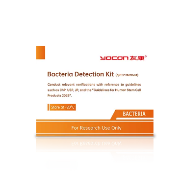 What Is Cellular Therapy And How Does It Work?