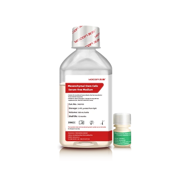 Top 5 Factors Affecting NK Cell Growth in Serum-Free Media